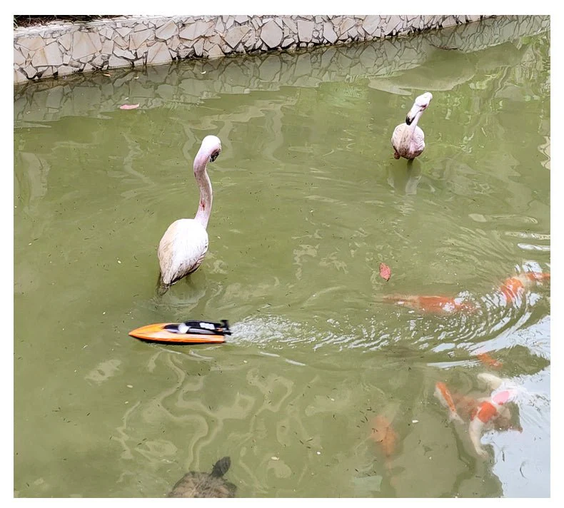 1:36 Scale 2.4G RC High-Speed Twin Propeller Boat – 8 km/h, 500mAh Battery, 25m Control Distance – SKU 1896930 - Image 21