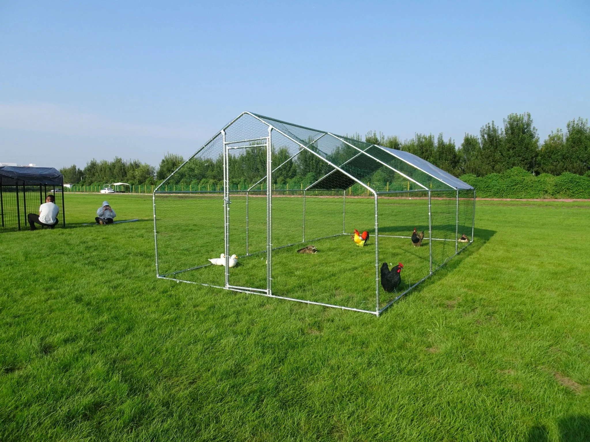 10x20 FT Dog Kennel & Chicken Run – Fenced Compound Cage with Durable Metal Frame 2010CG - Image 3