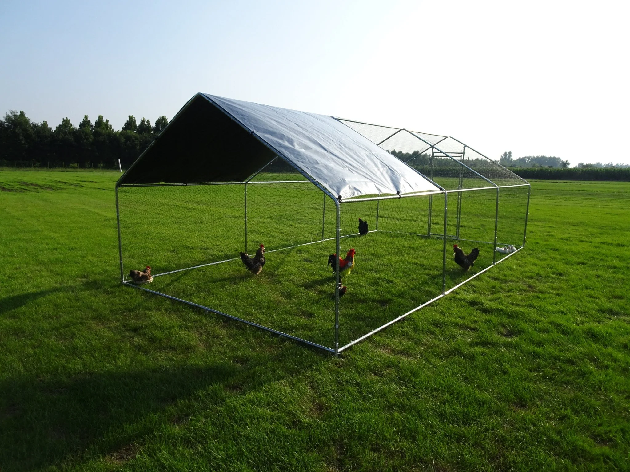 10x20 FT Dog Kennel & Chicken Run – Fenced Compound Cage with Durable Metal Frame 2010CG - Image 5