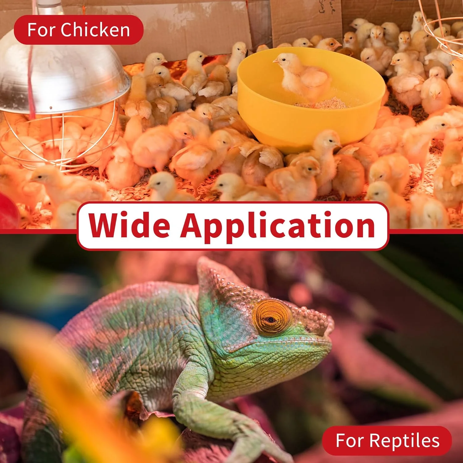 250W Red Heat Bulbs 2 Pack Infrared Chicken Coop Brooder Lamp E26 RHB250 - Image 4