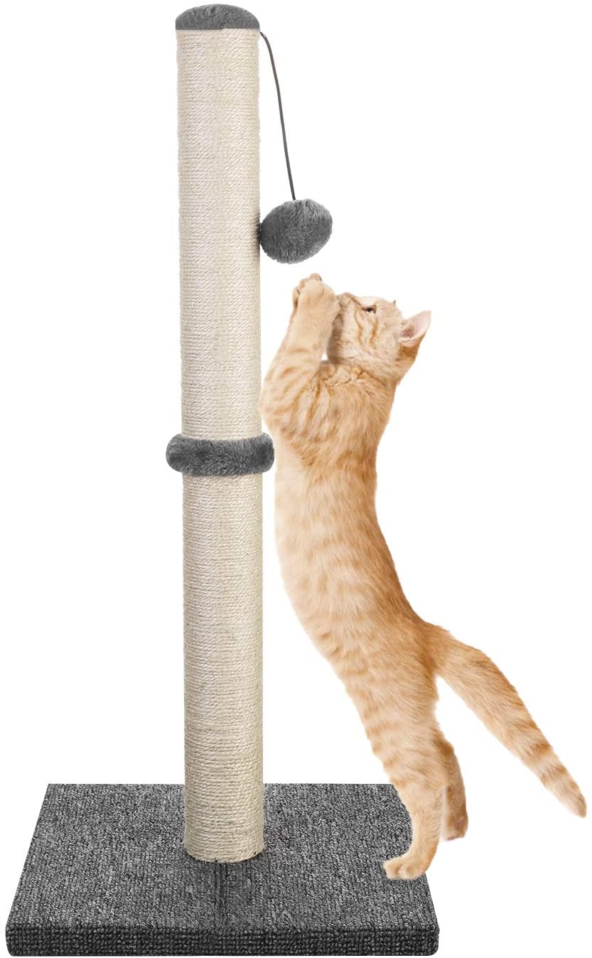 29" Tall Cat Scratching Post – Heavy-Duty Sisal Cat Scratcher with Stable Carpeted Base AMCT01 - Image 3