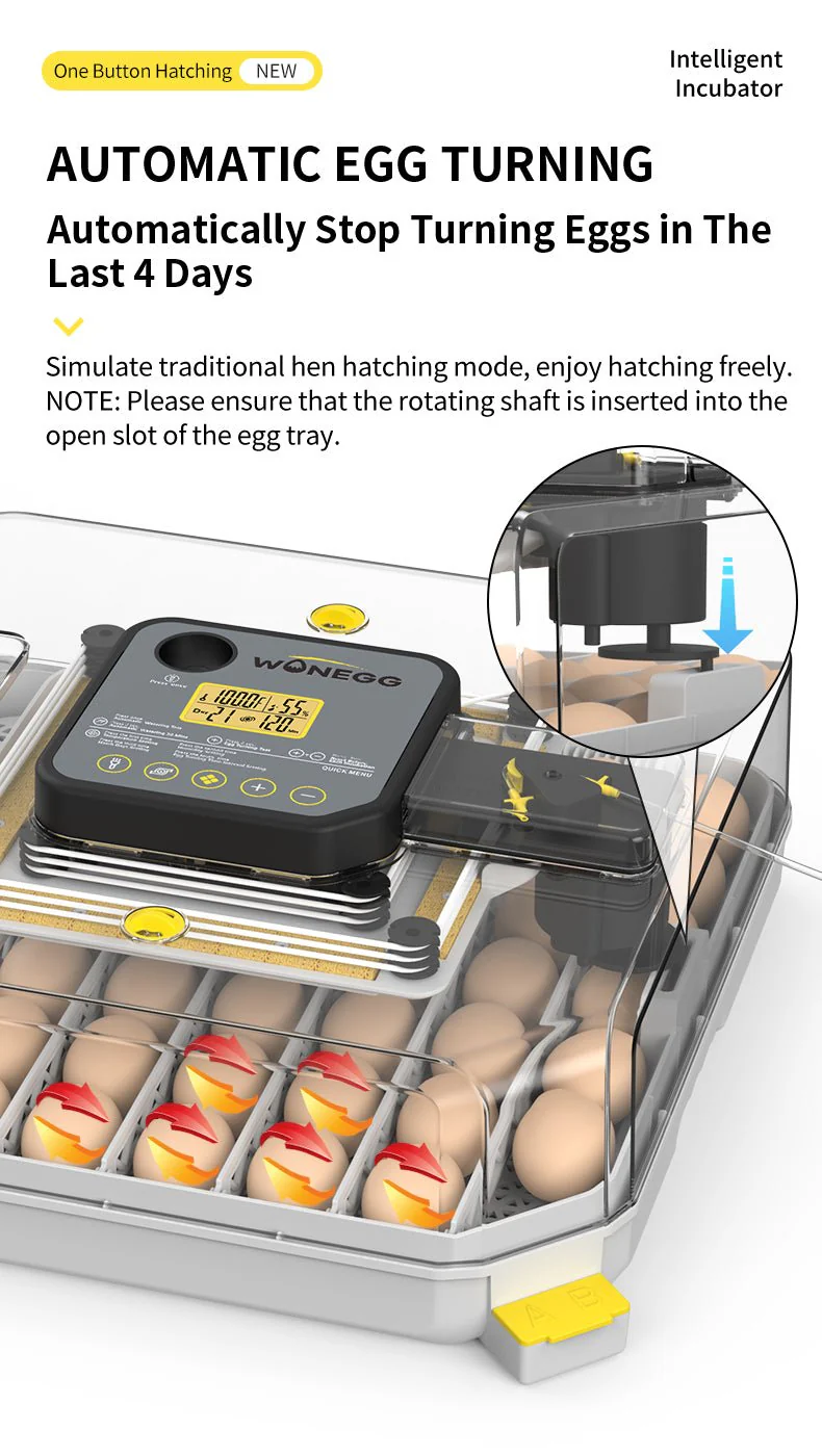48-Egg Digital Egg Incubator – Automatic Hatching Machine with Display & Auto Turner for Chicken, Duck & Quail | Model 2548HP - Image 7