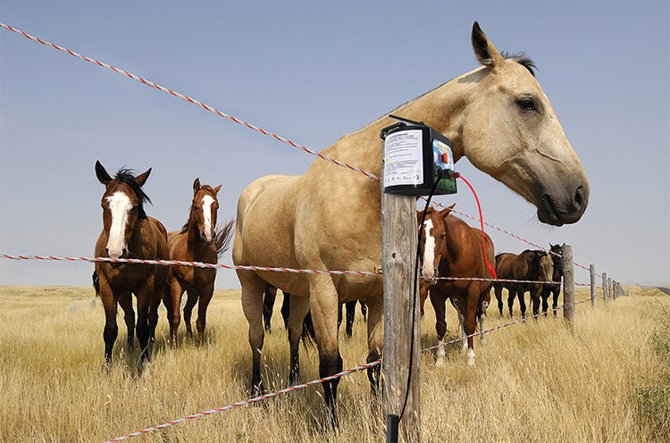 5 KM Solar Electric Fence Energiser – Livestock & Pet Control WTCS015 - Image 11
