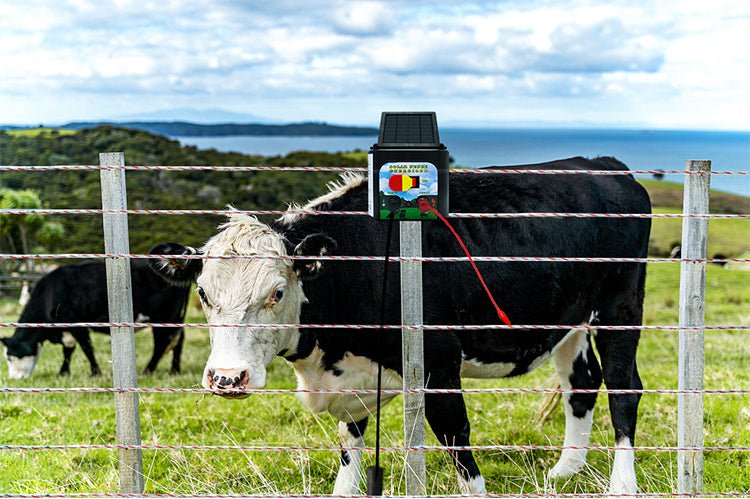 5 KM Solar Electric Fence Energiser – Livestock & Pet Control WTCS015 - Image 16