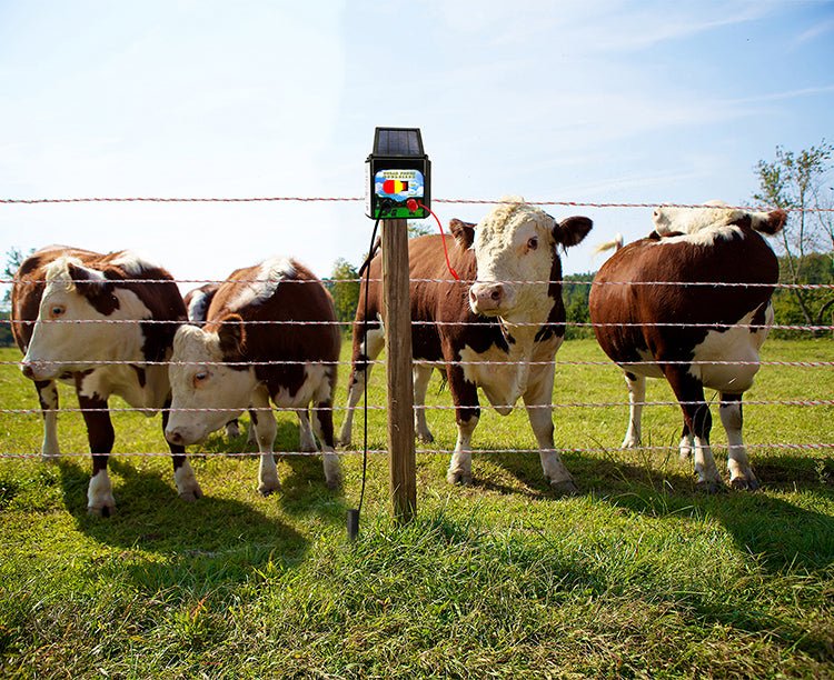 5 KM Solar Electric Fence Energiser – Livestock & Pet Control WTCS015 - Image 18