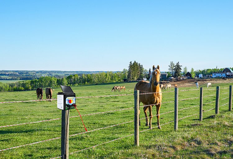 5 KM Solar Electric Fence Energiser – Livestock & Pet Control WTCS015 - Image 6