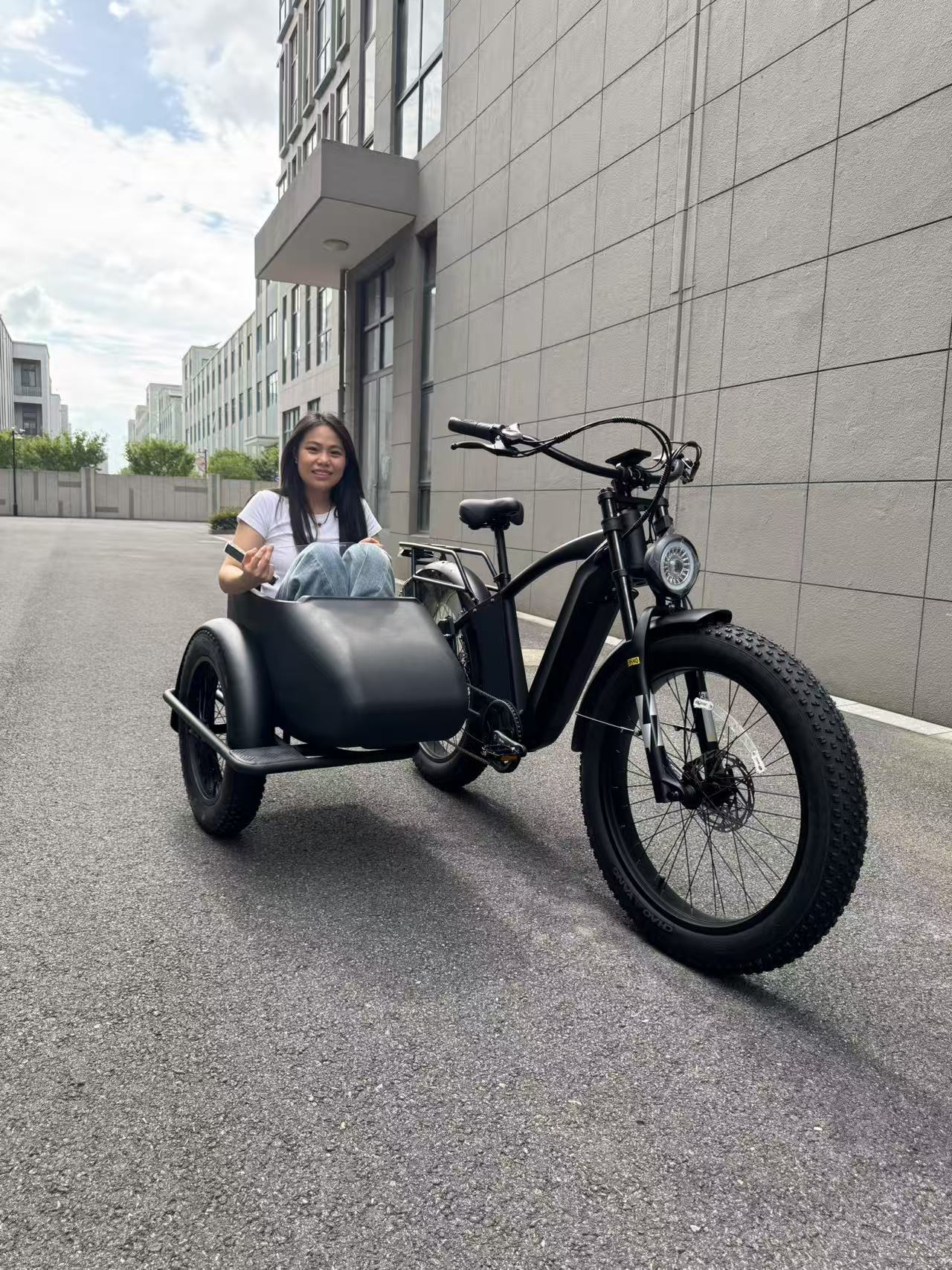 500W Jet Black Trike Electric bicycle Sidecar Bike with Aluminum‑Alloy Frame 039912 - Image 10