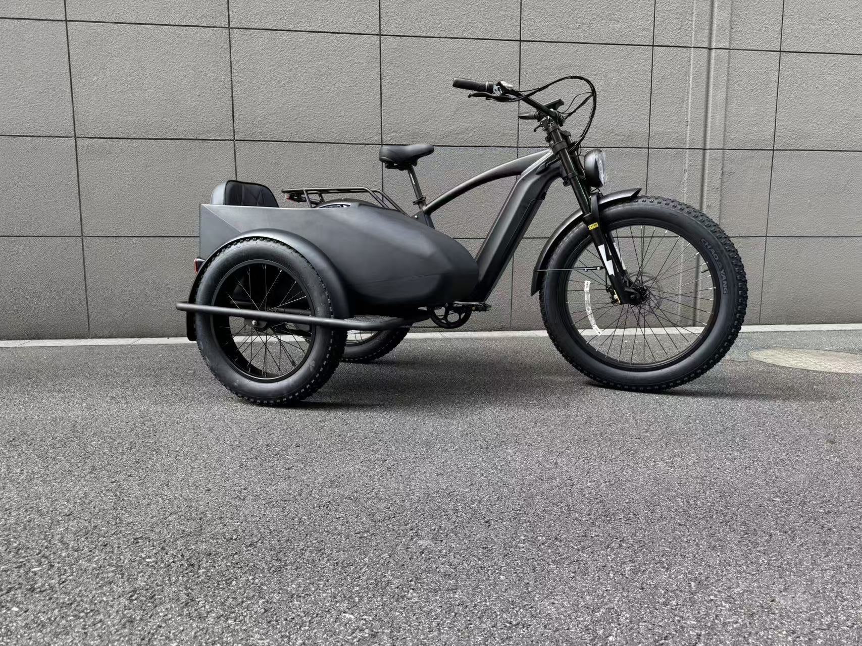 500W Jet Black Trike Electric bicycle Sidecar Bike with Aluminum‑Alloy Frame 039912 - Image 3