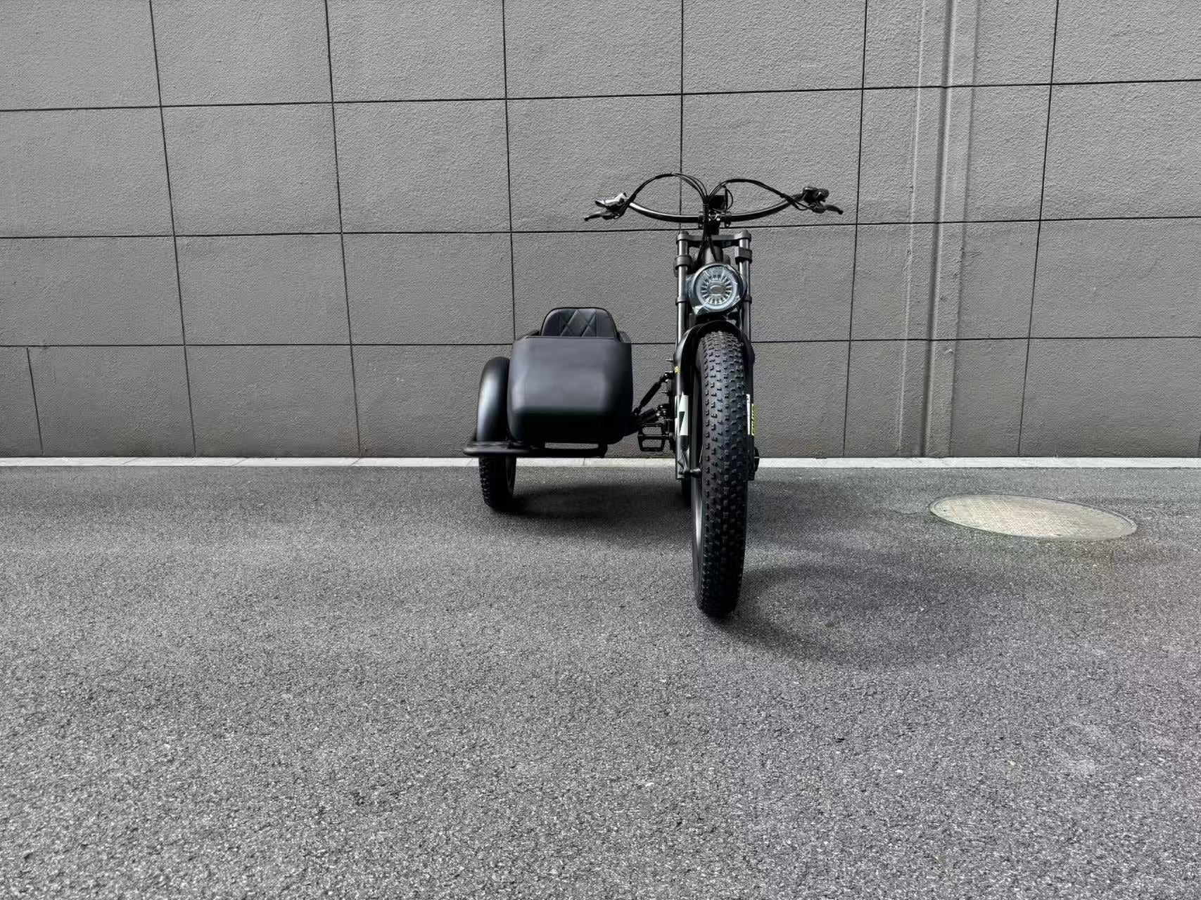 500W Jet Black Trike Electric bicycle Sidecar Bike with Aluminum‑Alloy Frame 039912 - Image 8
