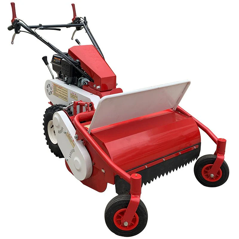 9HP Walk-Behind Flail Mower – Heavy-Duty Gas Brush Cutter for Tall Grass, Weeds & Rough Terrain | S680L - Image 2