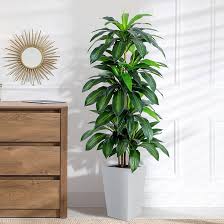 Artificial Dracaena Silk Plant – 48" Lifelike Indoor Tree for Home & Office Décor | SKU: DRA048 - Image 2