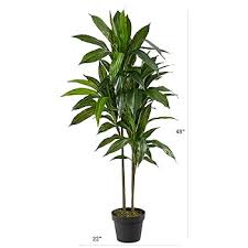 Artificial Dracaena Silk Plant – 48" Lifelike Indoor Tree for Home & Office Décor | SKU: DRA048 - Image 3