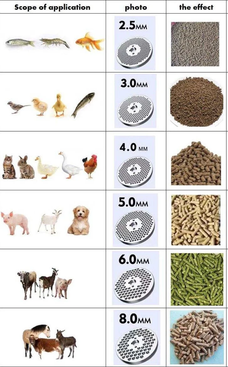 Chicken Feed Pellet Machine – 4mm Pellet Mill Maker 80kg/h Animal Feed Rabbits Chickens Ducks Pigs Cattle Sheep N120C - Image 4