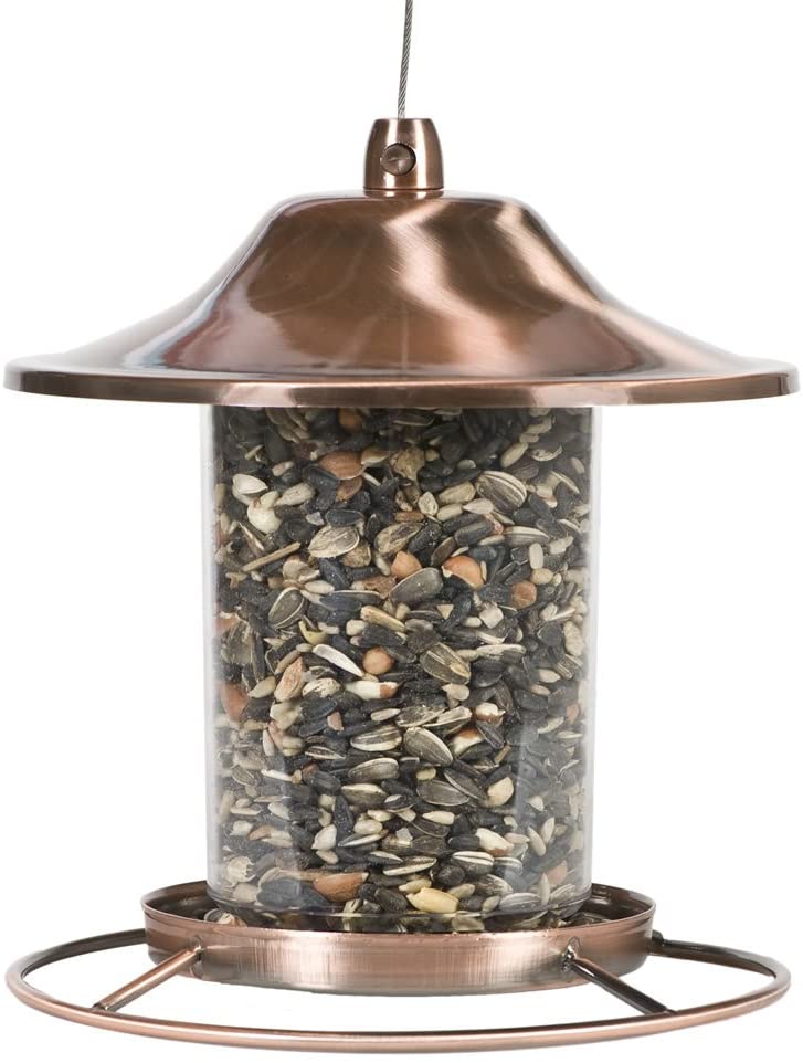Copper Panorama Bird Feeder – Anti-Squirrel Hanging Feeder with 360° Tray Perch | 525PF - Image 2