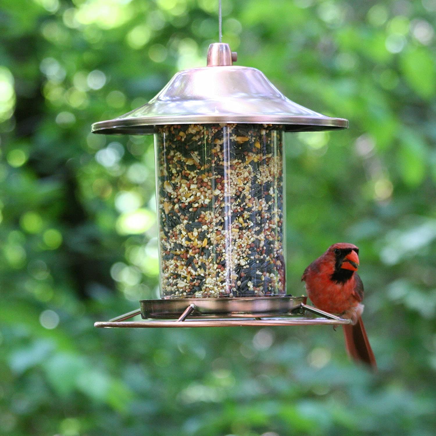 Copper Panorama Bird Feeder – Anti-Squirrel Hanging Feeder with 360° Tray Perch | 525PF - Image 3