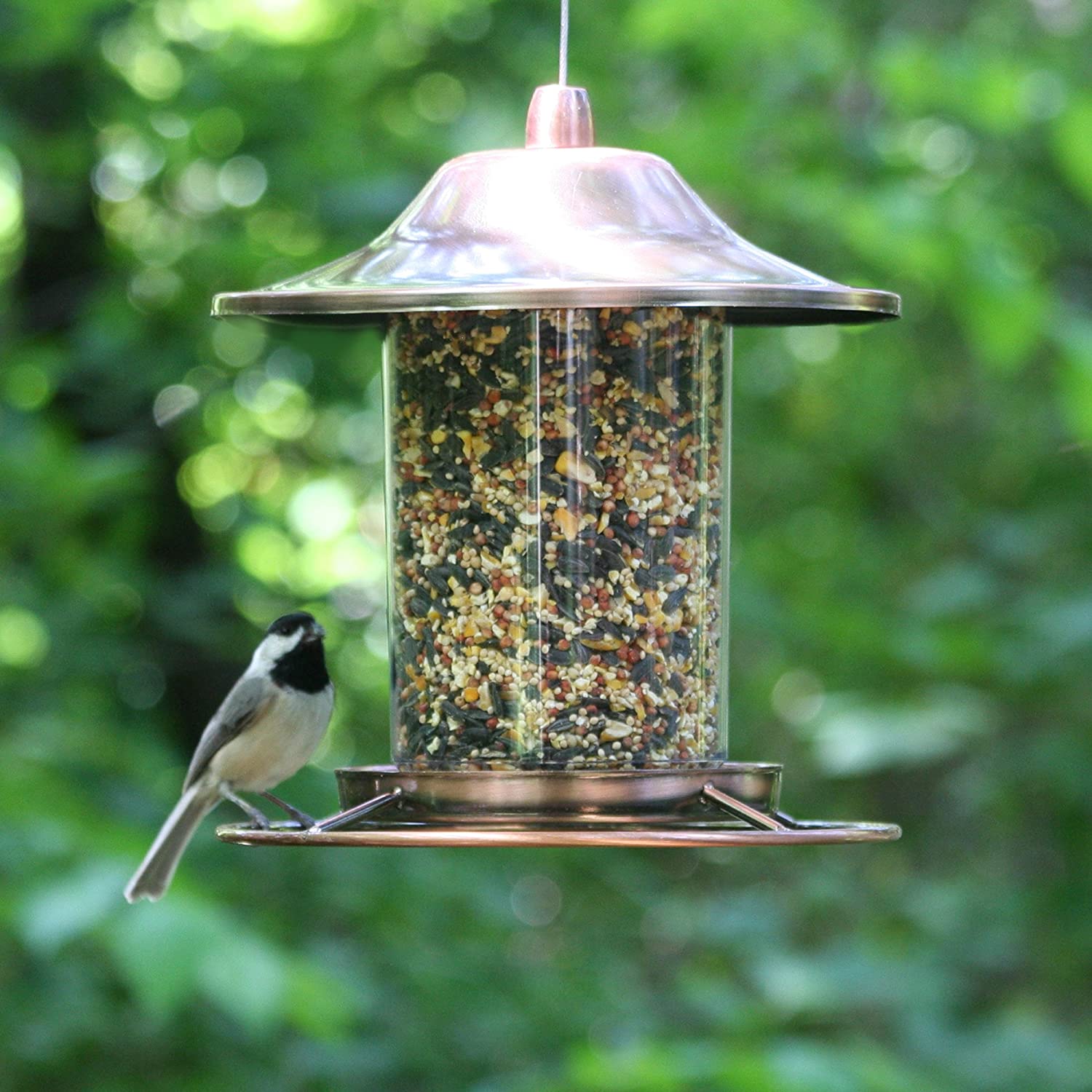 Copper Panorama Bird Feeder – Anti-Squirrel Hanging Feeder with 360° Tray Perch | 525PF - Image 4