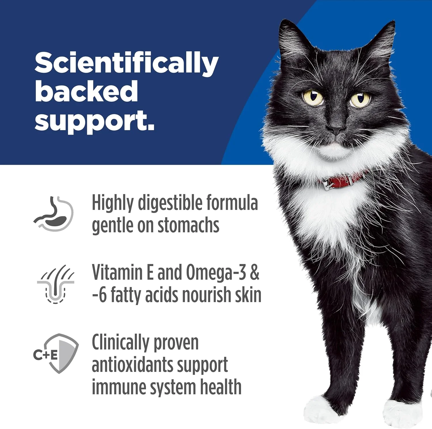 Hill’s Science Diet Sensitive Stomach & Skin Adult Dry Cat Food – Grain-Free Salmon & Yellow Peas, 5.9 kg - Image 4