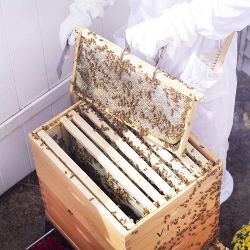 Langstroth Wooden Beehive Kit – 20 & 30 Frame | 2-Layer & 3-Layer Hive Options - Image 4