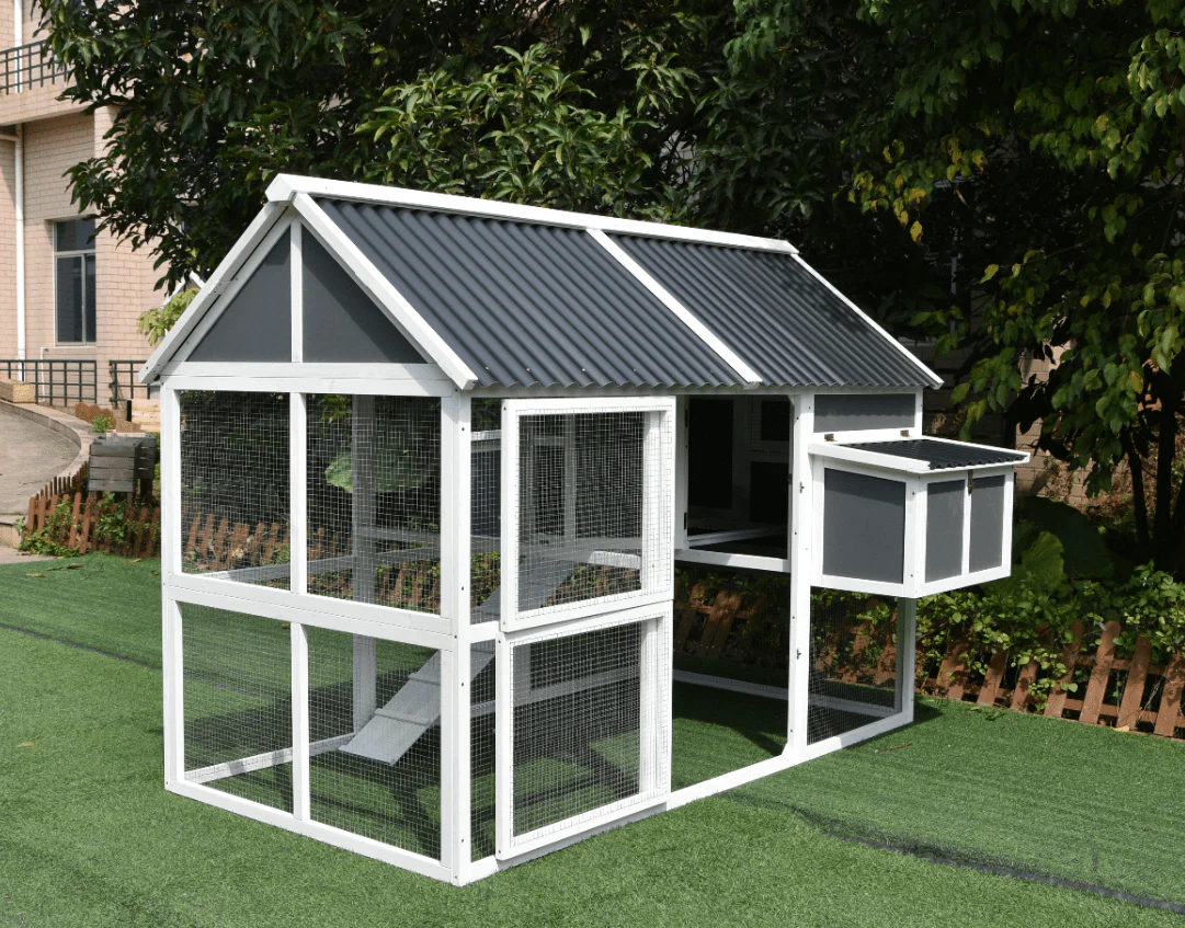 Large Gray Wooden Chicken Coop with Nesting Box & Run – P61415 - Image 3