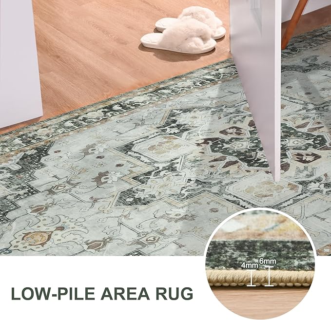 Machine Washable Low-Profile Area Rug with Non-Slip Backing – 6×9 & 8×10 - Image 89