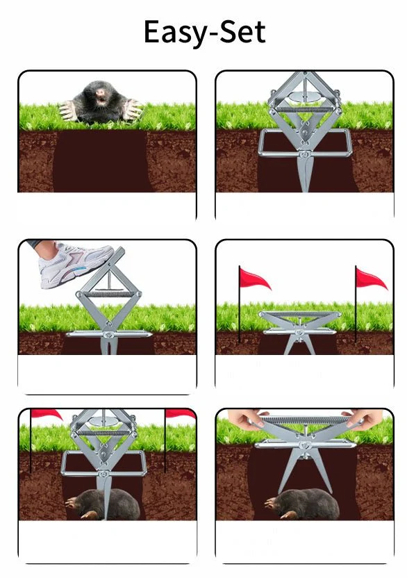 Mole Trap 2 Pack – Reusable Gopher Traps, Easy Set Mole Eliminator, Heavy Duty Pest Control G5875 - Image 3