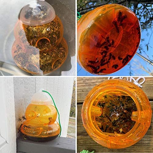 New 2-Pack Plastic Wasp Traps for Hornets, Bees & Yellow Jackets – Effective Outdoor Pest Control 462021 - Image 2