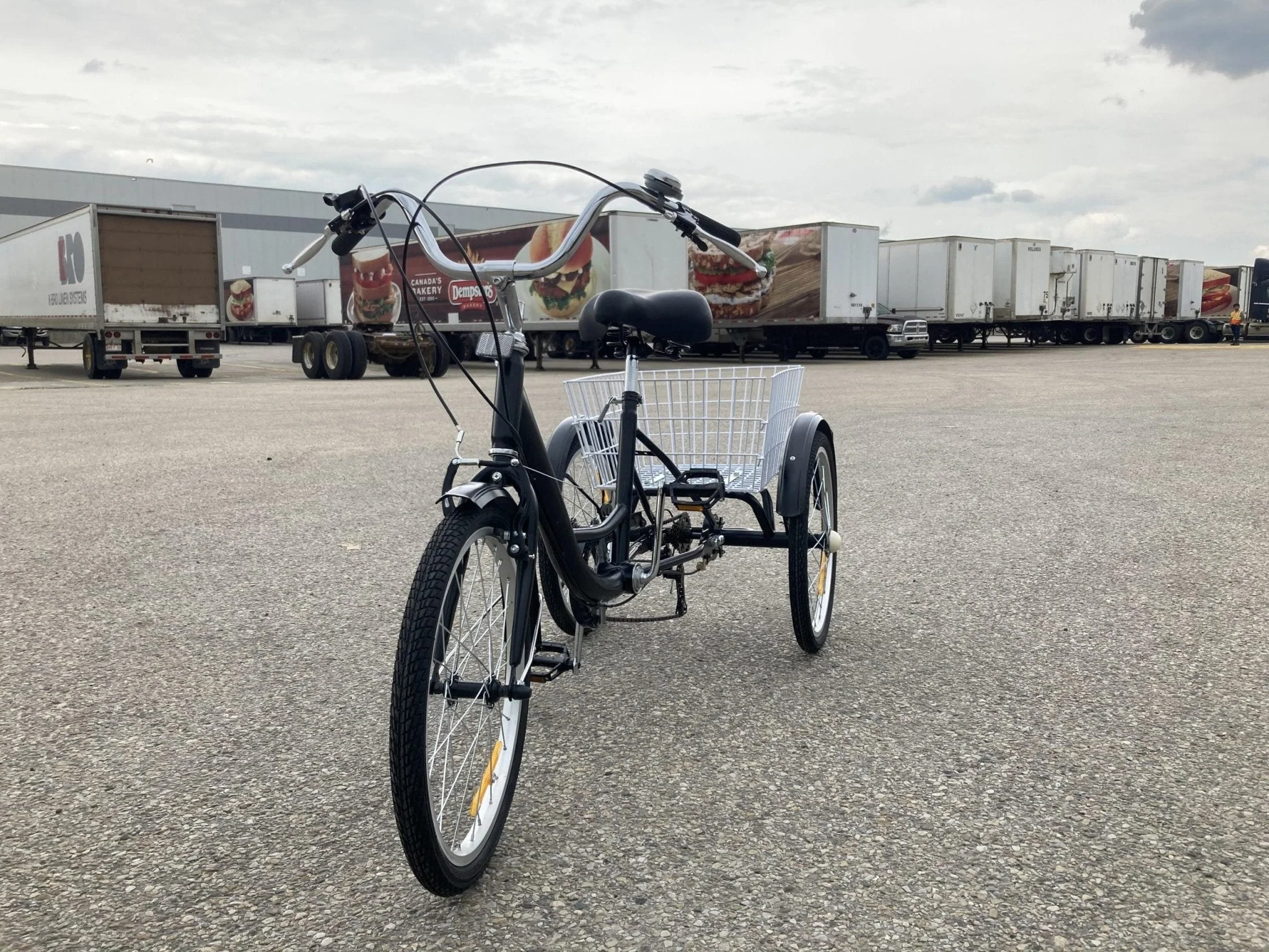 New 24-Inch Adult Tricycle 3-Wheel Bicycle with Basket – 7-Speed Shimano – SKU#TRI24ADULT - Image 8