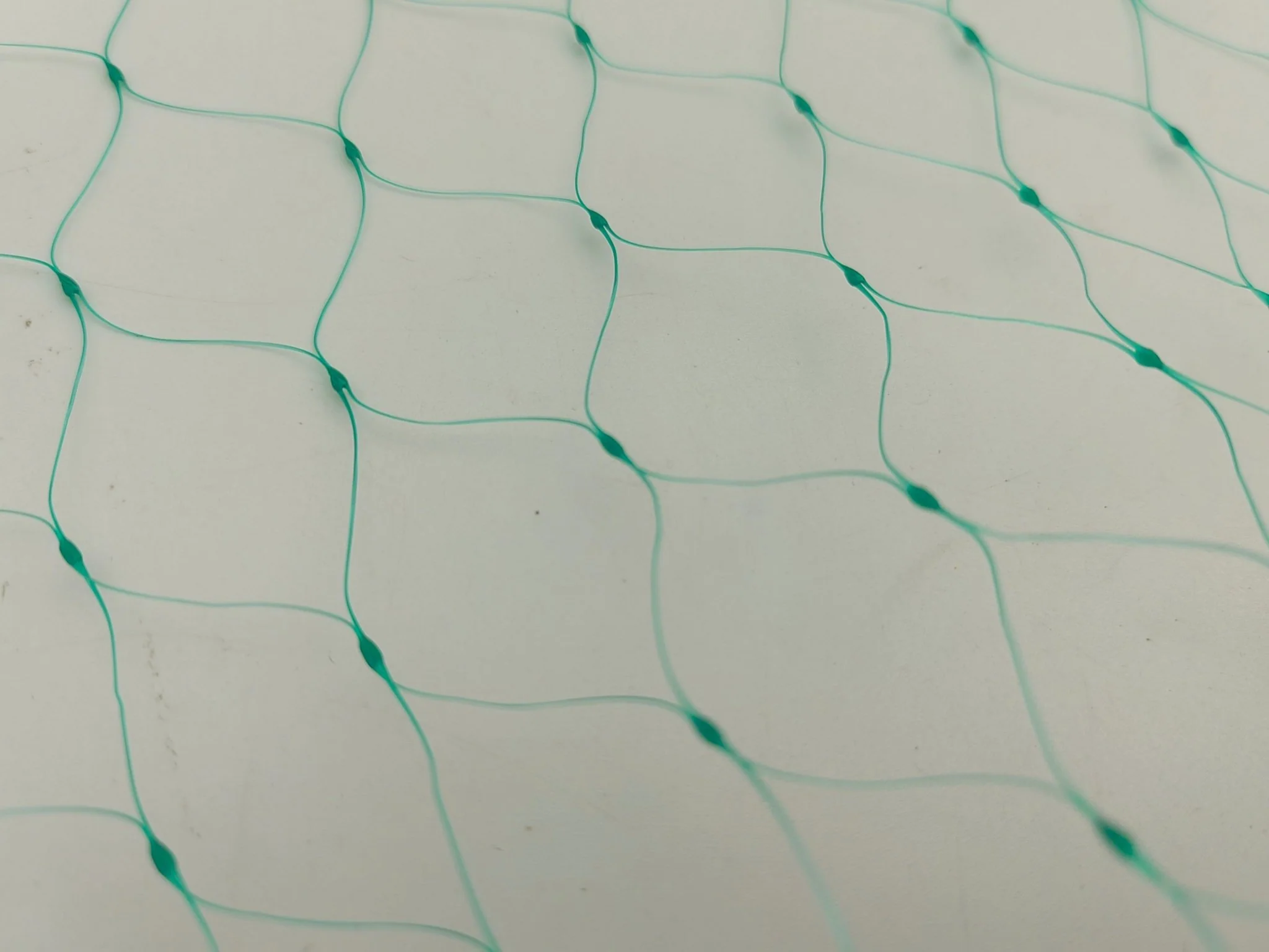 Anti-Bird Net 16.4ft x 328ft – Durable PE Garden Netting with 2.5cm Mesh for Crop & Plant Protection G5497