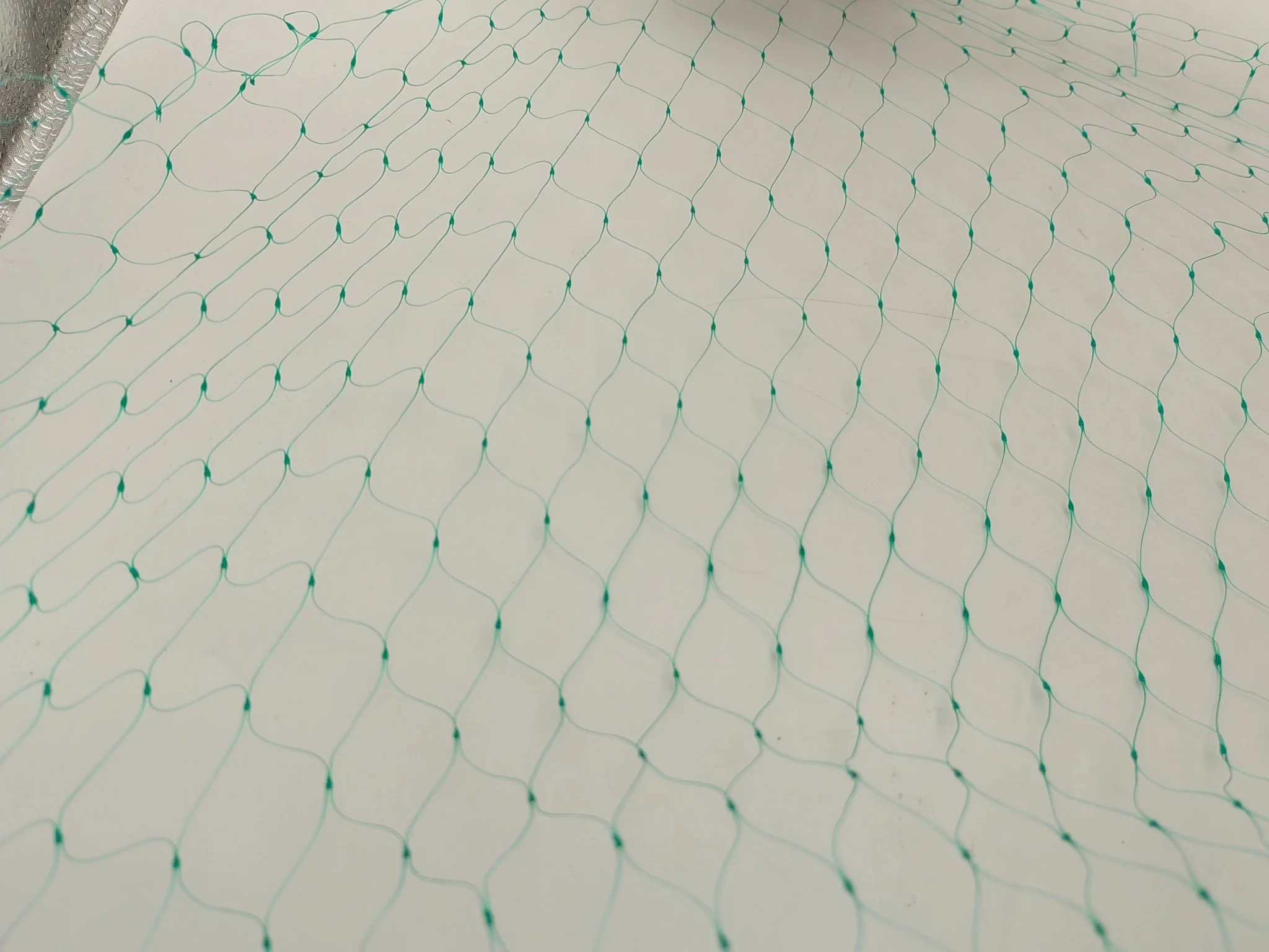 Anti-Bird Net 16.4ft x 328ft – Durable PE Garden Netting with 2.5cm Mesh for Crop & Plant Protection G5497 - Image 3