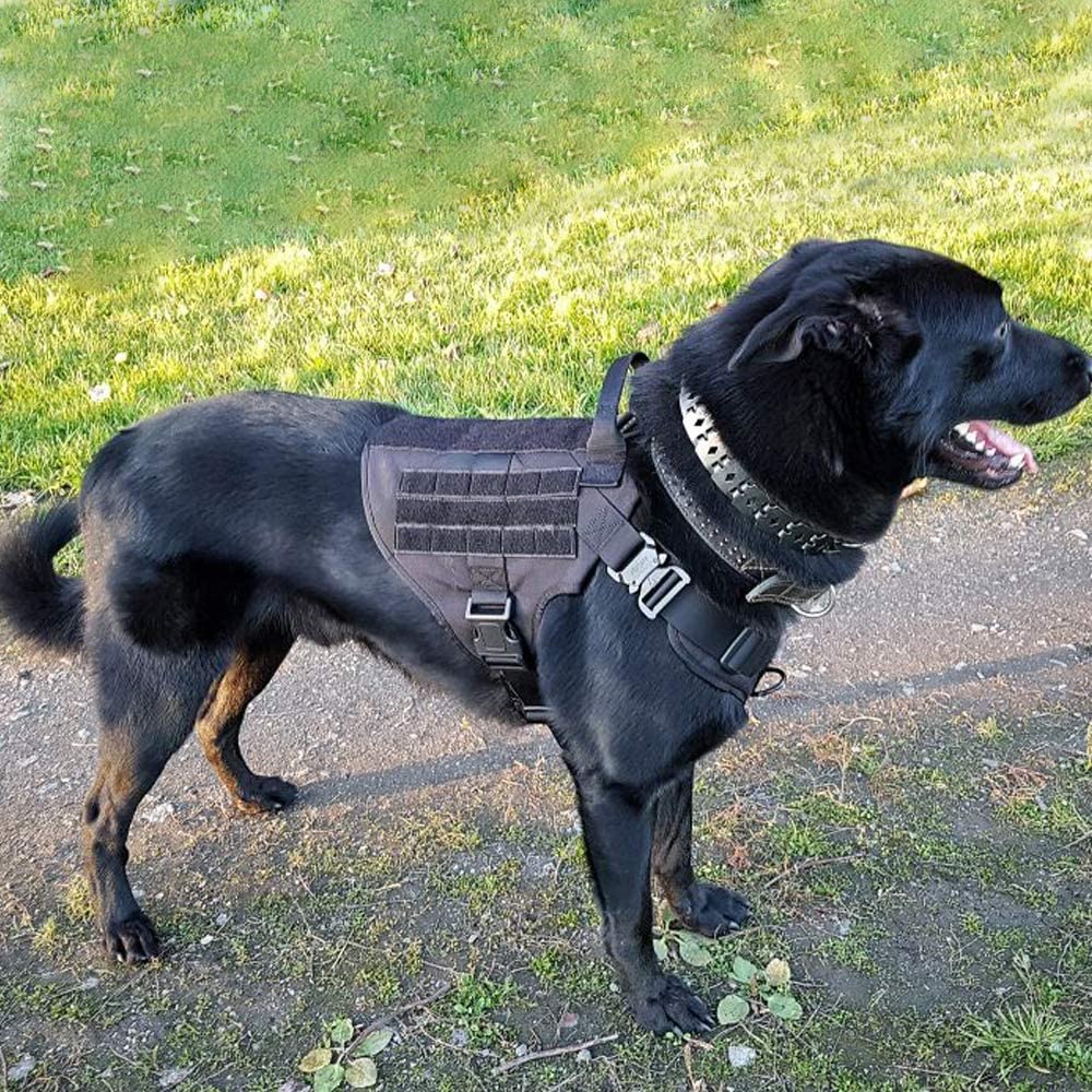 New Black Tactical Dog Harness & Leash Set – No-Pull, Adjustable K9 Vest with Handle & Molle System - Image 3