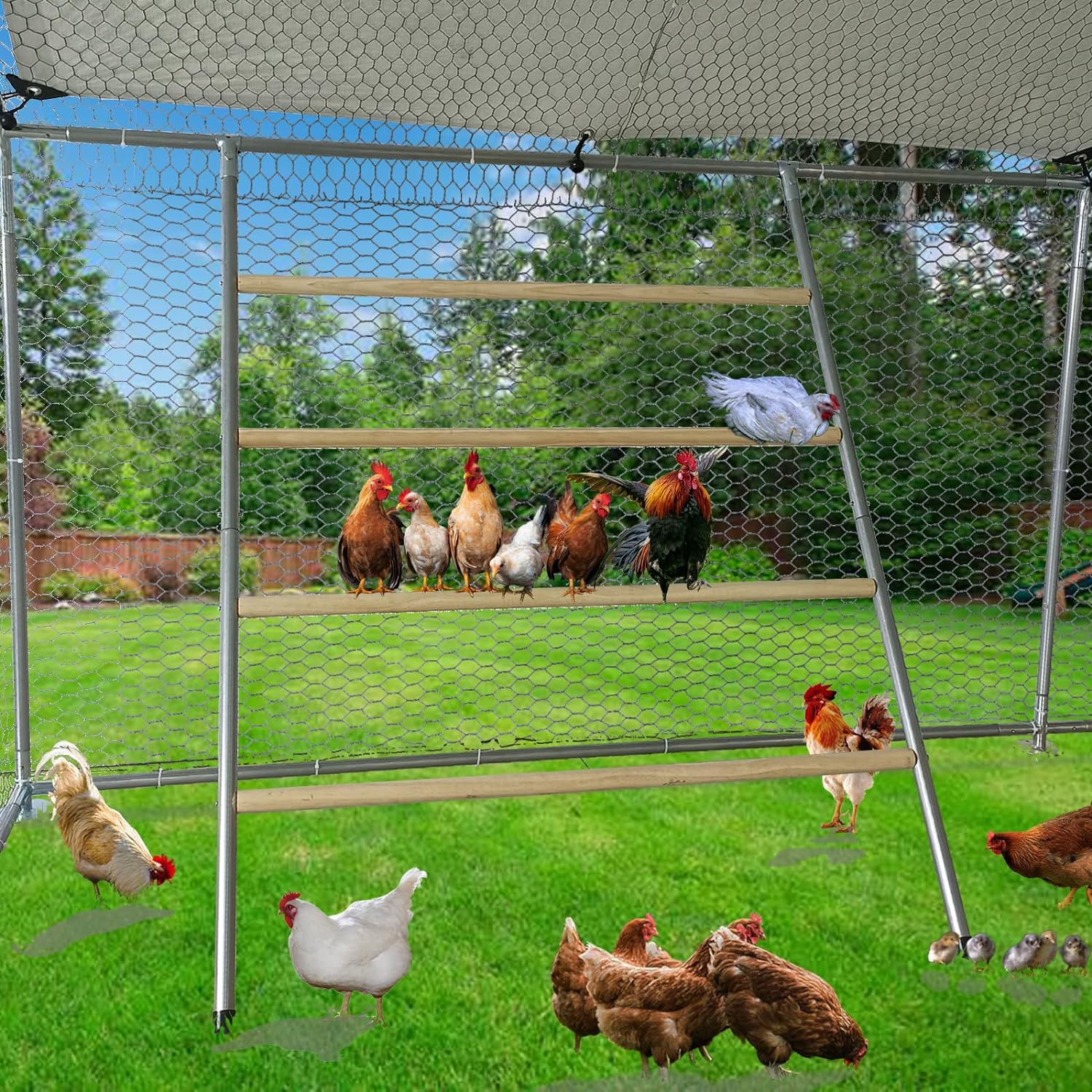New Chicken Coop Perch Roosting Ladder – Durable Wooden Ladder for Poultry & Backyard Birds S1226