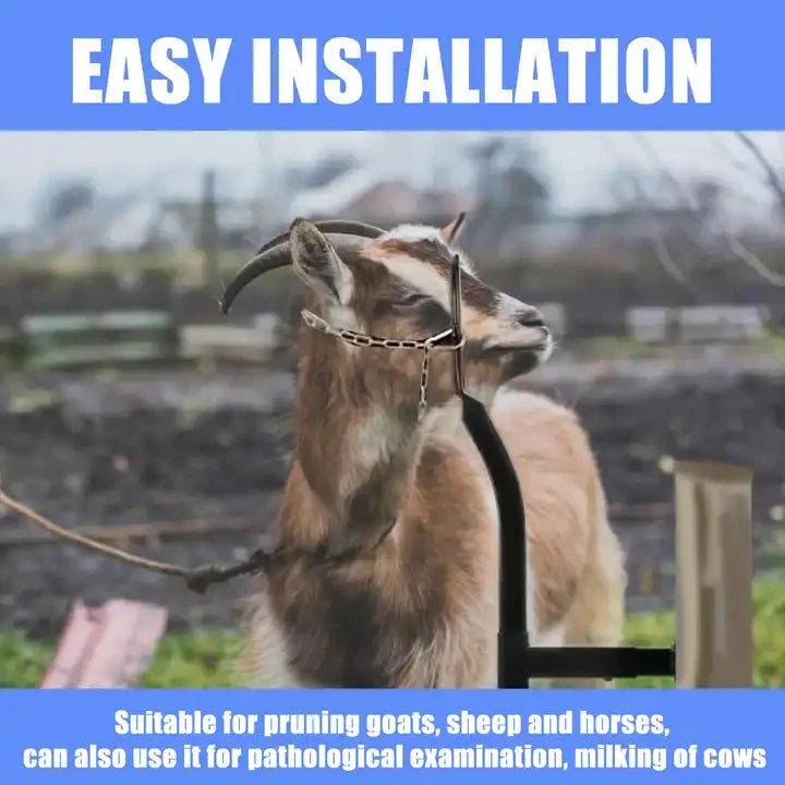 New Livestock Steel Gate Attachment Nose Loop Headpiece – Durable Animal Restraint Tool S1230 - Image 2