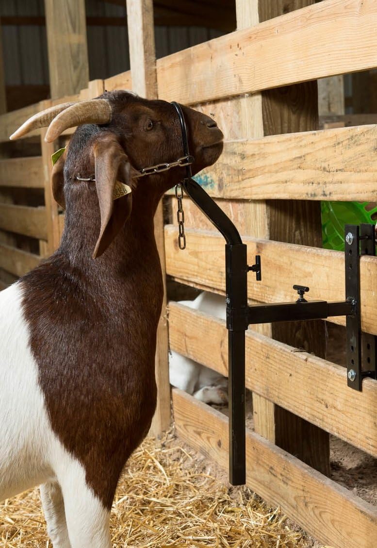 New Livestock Steel Gate Attachment Nose Loop Headpiece – Durable Animal Restraint Tool S1230 - Image 3