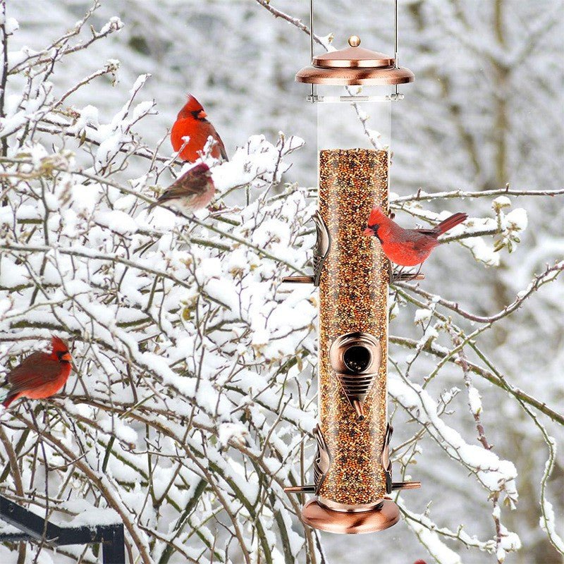 Outdoor Hanging Bird Feeder with Clear Tube & Iron Frame – Durable Wild Bird Feeder for Garden & Backyard BF1894
