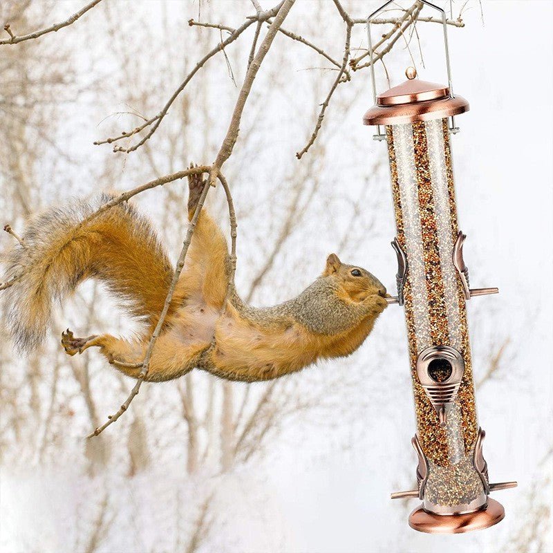 Outdoor Hanging Bird Feeder with Clear Tube & Iron Frame – Durable Wild Bird Feeder for Garden & Backyard BF1894 - Image 3