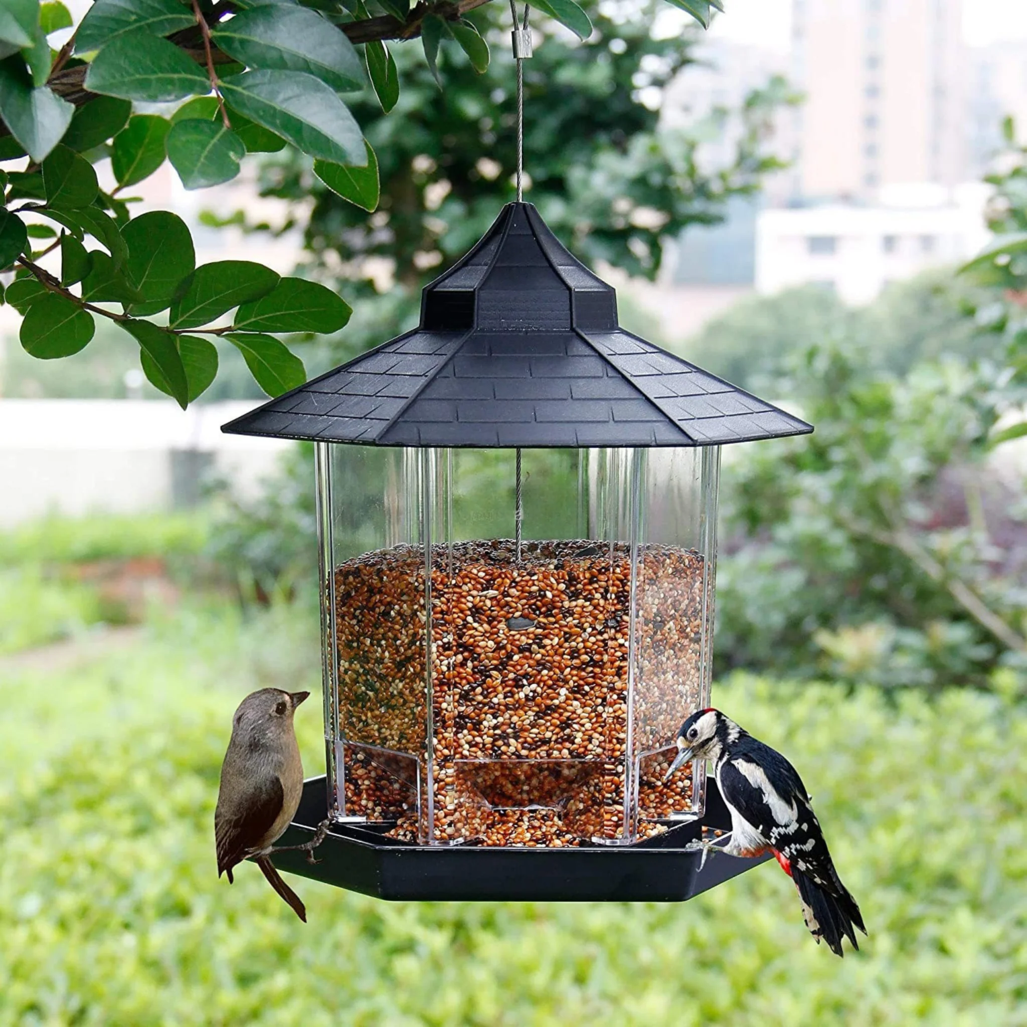 Outdoor Hanging Plastic Bird Feeder Clear Seed Container Weather-Resistant Garden Feeder BF129 - Image 3