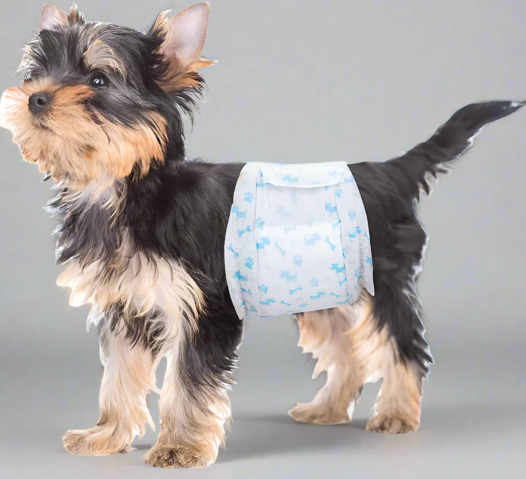 New 10-Pack Male Dog Diapers – Reusable Washable Belly Bands for Small Dogs, Absorbent & Adjustable Wraps for Puppy Incontinence & Marking 618223