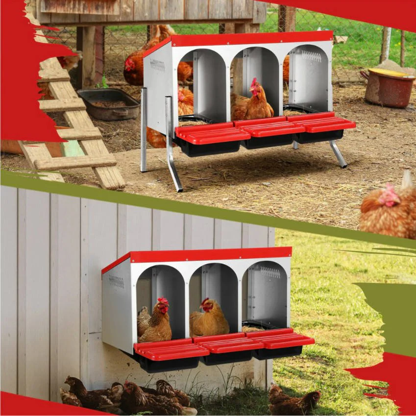 Roll-Out Chicken Nesting Box for Hens – Metal Laying Nest with Removable Trays (3 or 6 Compartments) - Image 6