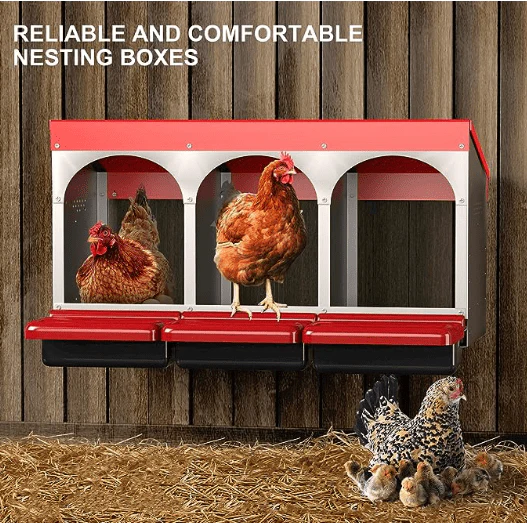 Roll-Out Chicken Nesting Box for Hens – Metal Laying Nest with Removable Trays (3 or 6 Compartments) - Image 8