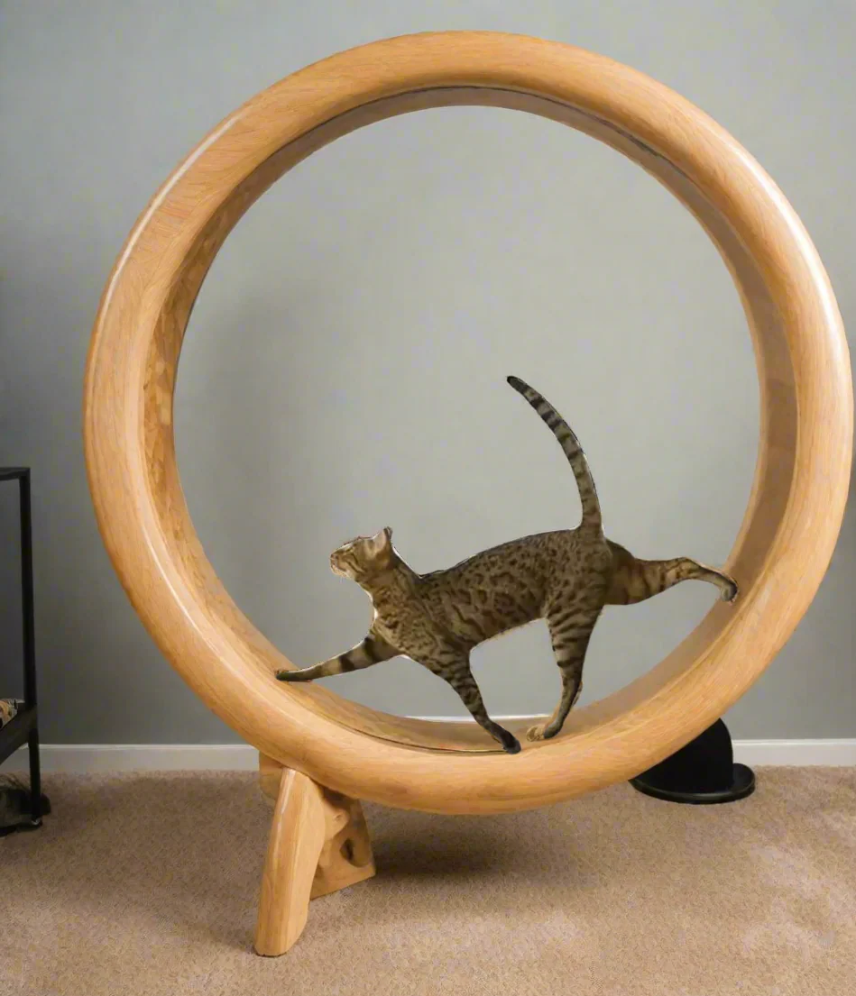 XL Cat Exercise Wheel Treadmill – Large Indoor Running Wheel for Active Cats | Model 1127863 - Image 2